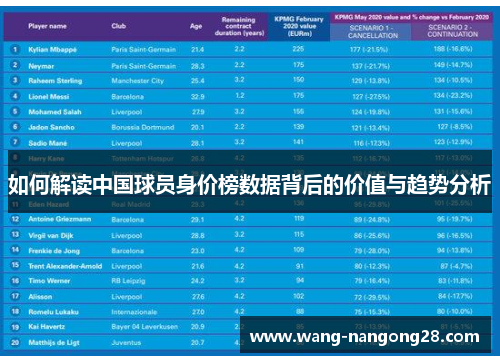 如何解读中国球员身价榜数据背后的价值与趋势分析